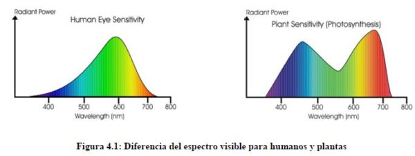Panel Led Full Espectro Lateral Floración - Imagen 2