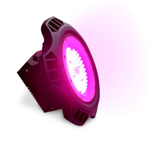 Iluminación Cultivo Indoor